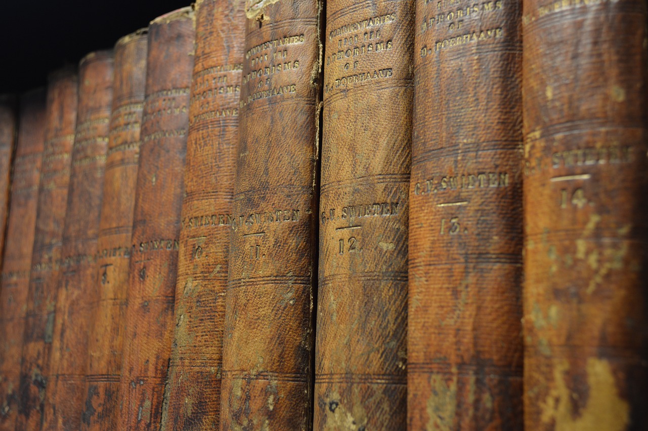 The Lost Library of Alexandria - What Was Lost?